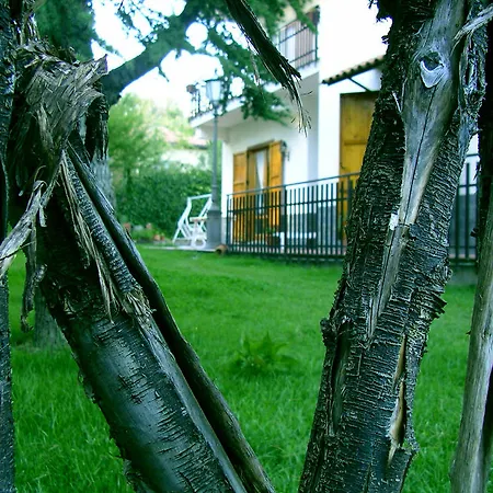Bed & Breakfast Caterina Pedara