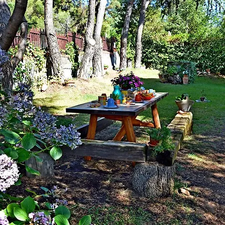 Bed & Breakfast Caterina Pedara